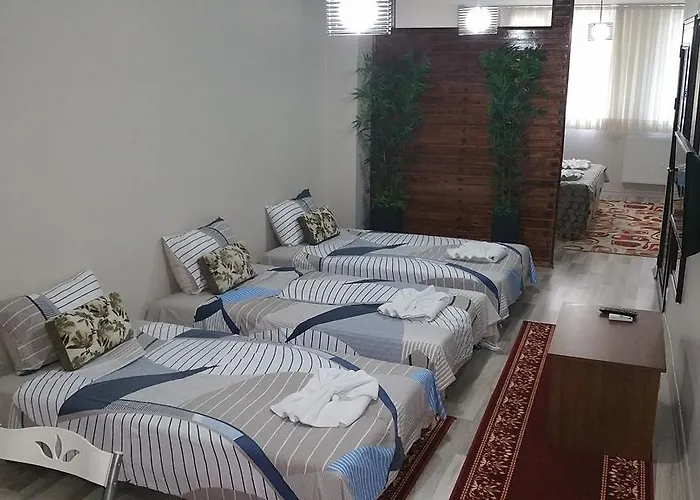 Carina Hotel Stambuł