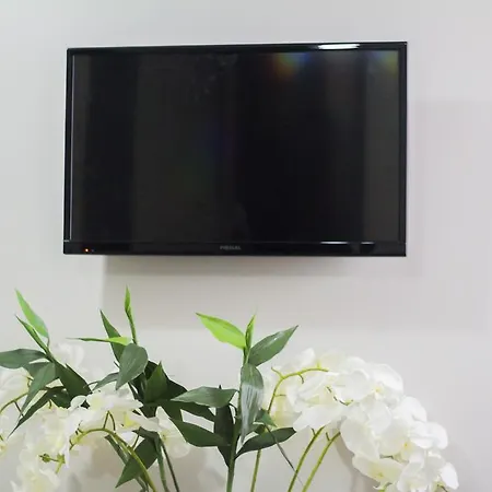 Carina Provincia di Istanbul